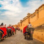 httpsluxuryindiatajtours.com/best-places-to-visit-in-rajasthan-royal-activities